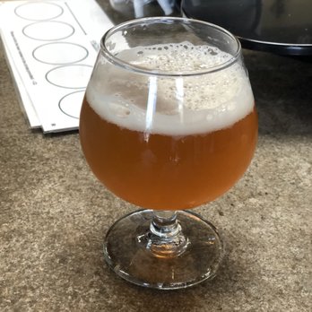 Cactus Land Brewing - Breweries Near Me - Adkins, Texas
