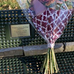 Edgwater Park - Heart warming finding