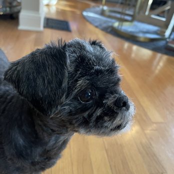 Happy Tails - Pet Groomers Near Me - Chicago, Illinois