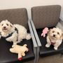 Photo of Orchard Hills Animal Hospital