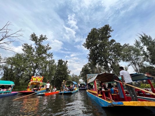 Parque Ecológico de Xochimilco by null