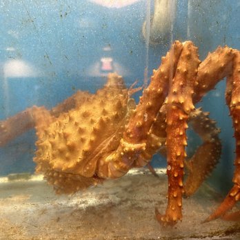 Sun Sui Wah Seafood Restaurant - All hail the King! - Seafood Near Me - Richmond, British Columbia