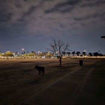 Riverview Park - Parks Near Me - Mesa, Arizona Riverview Park - Parks Near Me - Mesa, Arizona