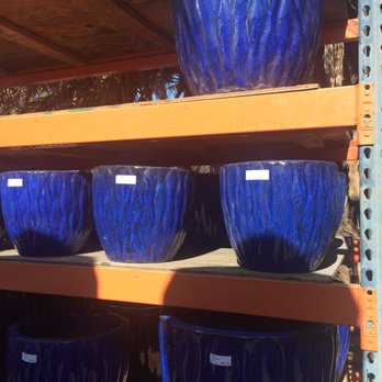 Planter Paradise - Gorgeous blue pots like petals. - Nurseries & Gardening Near Me - El Cajon, California Planter Paradise - Gorgeous blue pots like petals. - Nurseries & Gardening Near Me - El Cajon, California