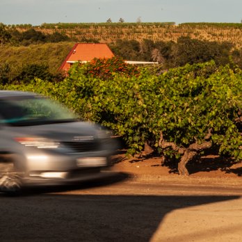 Howling Wine Tours - Old Vine Zinfandel in Dry Creek Valley - Wine Tours Near Me Howling Wine Tours - Old Vine Zinfandel in Dry Creek Valley - Wine Tours Near Me