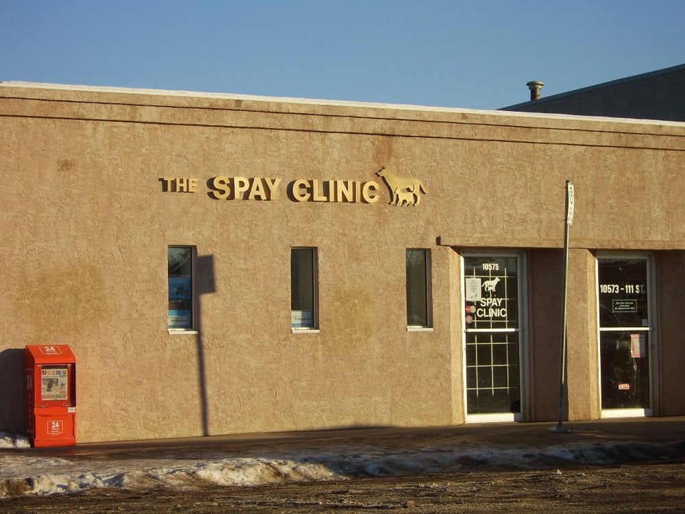 original spay clinic