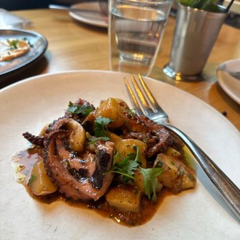 Rose Mary - Baby Octopus 'Peka Style' - Italian Near Me - Chicago, Illinois Rose Mary - Baby Octopus 'Peka Style' - Italian Near Me - Chicago, Illinois