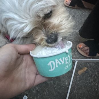 Davey's Ice Cream - Desserts Near Me - Brooklyn, New York