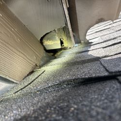 DFW Wildlife And Pest Control - Hole used to get into the attic! Cesar found it in no time!