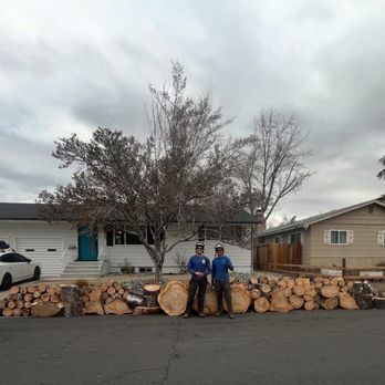 Aspect Tree Care - Tree Services Near Me - Reno, Nevada