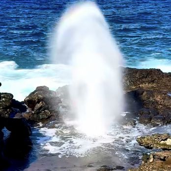 Blackies Pasture - Blow hole in Kauai last week on vacation 10/25/25 - Parks Near Me - Tiburon, California