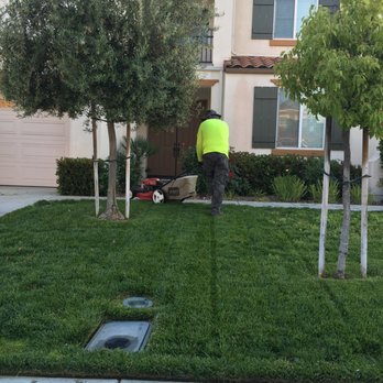 High Five Yard Care - Crisp lines! - Gardeners Near Me