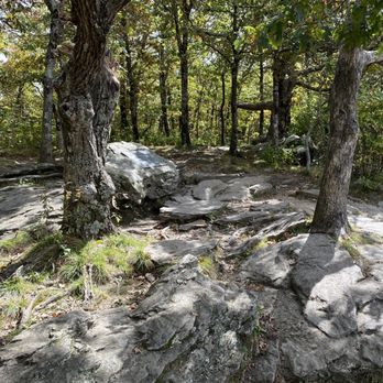 Springer Mountain - Parks Near Me - Dahlonega, Georgia Springer Mountain - Parks Near Me - Dahlonega, Georgia