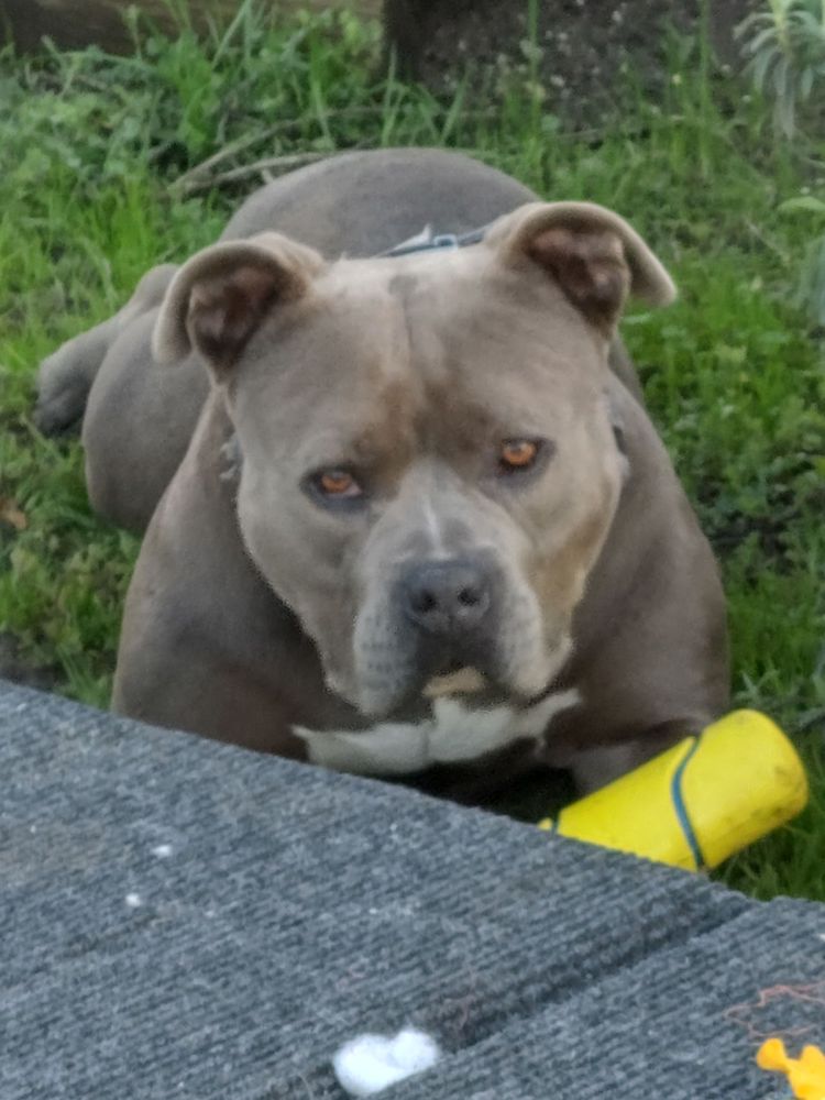 EZ TRANSMISSION Updated August 2024 14 Reviews 201 San Benito St