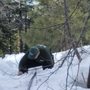 Photo of Ebbetts Pass Gas Service