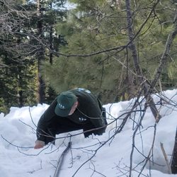 Ebbetts Pass Gas Service - Ebbetts Pass Gas service person climbing out of the hole he dug to service my propane tank. Way above my expectation of service.