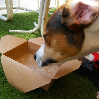 Goody Boy Diner - Happy hour for the pup too! - Diners Near Me - Columbus, Ohio