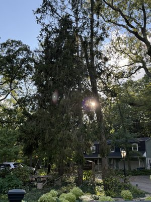 Farina's Supper Club by null