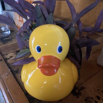 Mostly Martha's Florist - Florists Near Me - Ridgeland, Mississippi