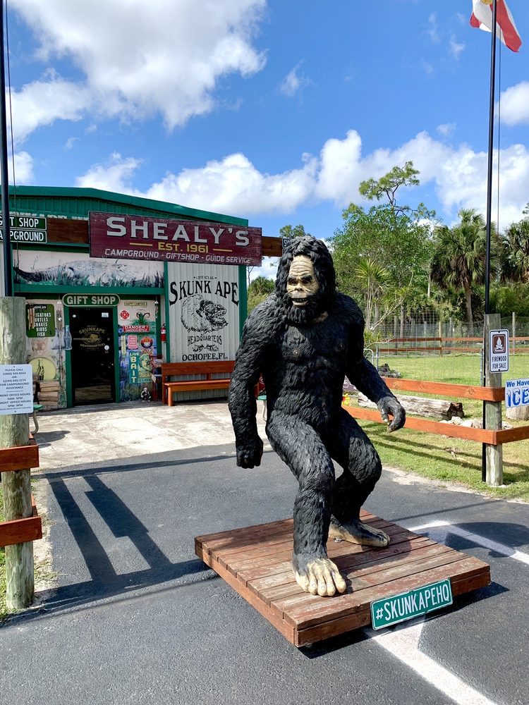 SKUNK APE RESEARCH HEADQUARTERS - 88 Photos & 26 Reviews - 40904