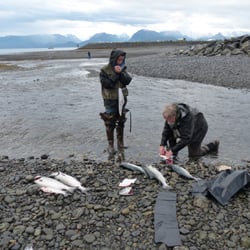Silverfin Guides - Cleaning up some fish after a great day of fishing.
