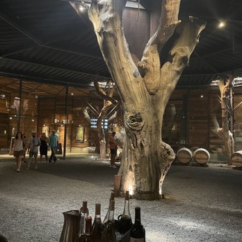 Bruma - The barrel room - Wineries Near Me - Ensenada, BCN