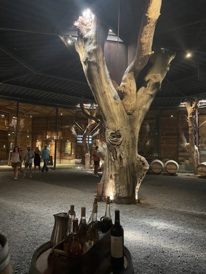 Bruma Valle de Guadalupe by null