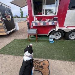 The Hungry Hound - Sniffing up a storm.