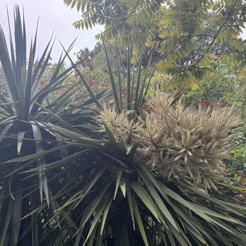 The Iveagh Gardens - Parks Near Me - Dublin, D