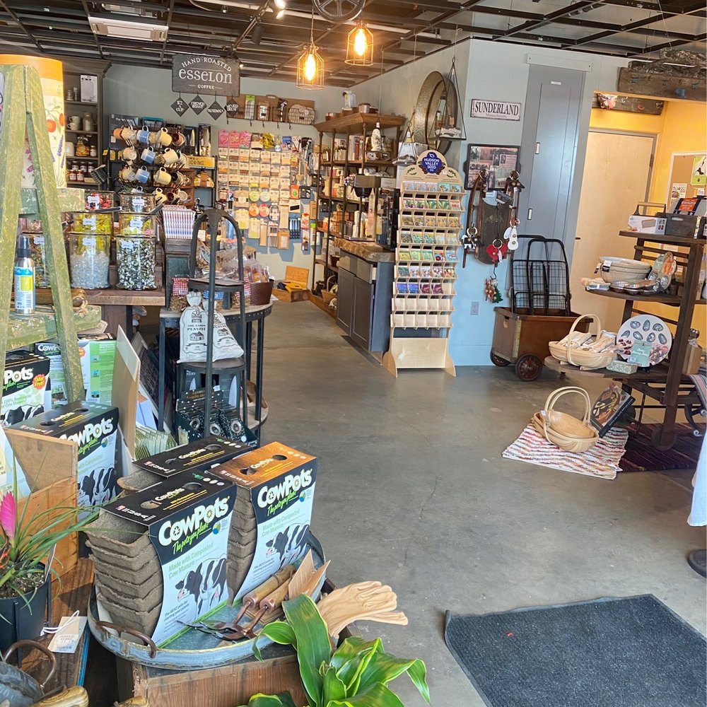 Mill District General Store & Local Art Gallery - Inside - Art Supplies Near Me - Amherst, Massachusetts