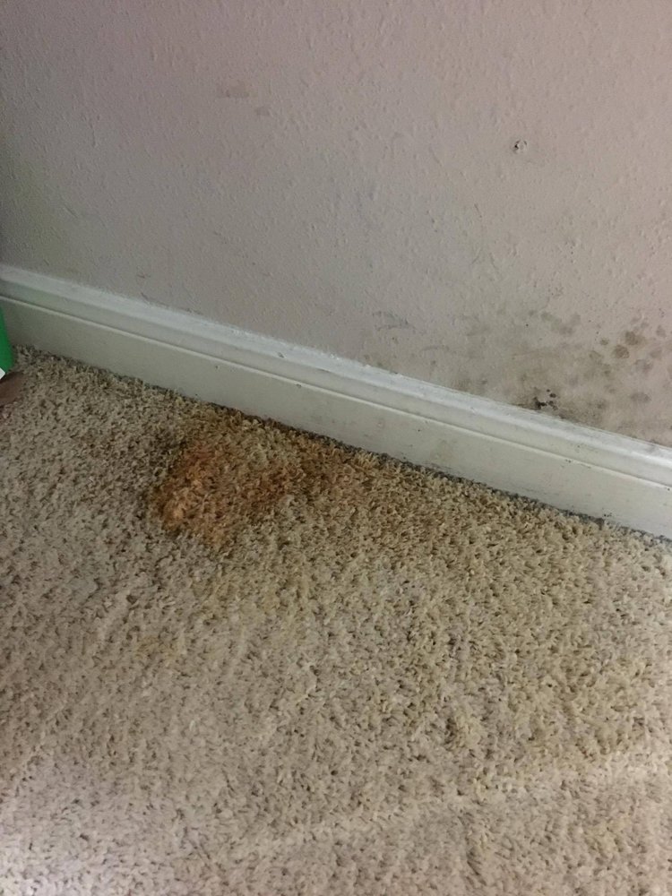 Slide of Galaxy Construction