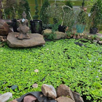 The Greenhouse - Nurseries & Gardening Near Me - Norman, Oklahoma The Greenhouse - Nurseries & Gardening Near Me - Norman, Oklahoma
