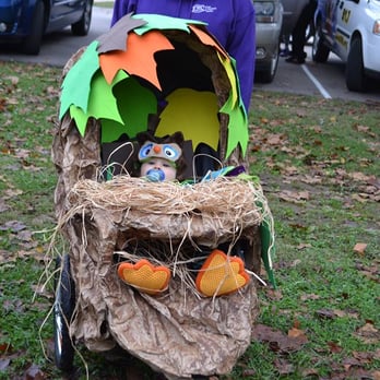 Free Women's Center - First Place in Stroller Decorating Contest: Free Women's Center Run/Walk 2014 - Crisis Pregnancy Centers Near Me - Waynesville, Missouri Free Women's Center - First Place in Stroller Decorating Contest: Free Women's Center Run/Walk 2014 - Crisis Pregnancy Centers Near Me - Waynesville, Missouri