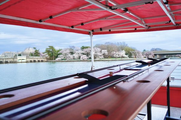 Cherry Blossoms Cruises 🌸 - Blossoms up! Get up close and personal with DC’s iconic Cherry Blossoms away from the lines, crowded sidewalks, and with a drink in hand! No more dinky pedal boats in the tidal basin – you and up to 11 friends CAN pedal on this vessel, but if you get tired or just want to snap pics of the scenery, feel free to walk or lounge about the deck and let the motor power your tour!