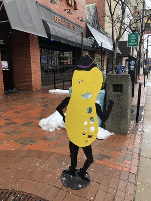 Peanut Shoppe of Akron by null