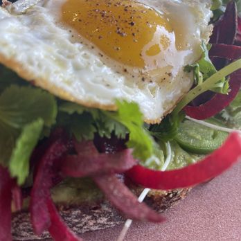 Parakeet Cafe - La Jolla - Avocado toast - Coffee & Tea Near Me - La Jolla, California Parakeet Cafe - La Jolla - Avocado toast - Coffee & Tea Near Me - La Jolla, California
