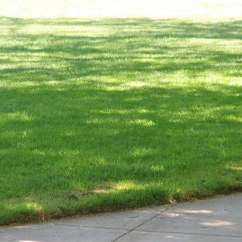 Ramos Park - Ramos Park, Palo Alto, CA - grounds are healthy and well kept - Parks Near Me - Palo Alto, California Ramos Park - Ramos Park, Palo Alto, CA - grounds are healthy and well kept - Parks Near Me - Palo Alto, California