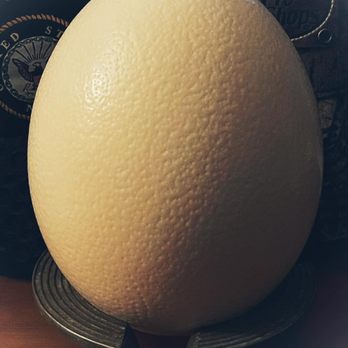 Thriftmart - My find of the day at Thriftmart...!  An ostrich egg priced at $2.99. I found the stand a couple of feet down for $1.99. - Thrift Stores Near Me - Des Moines, Iowa
