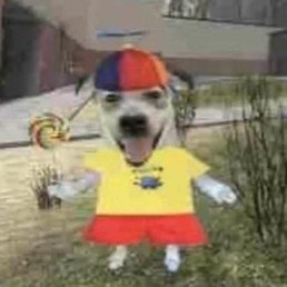 This is how great I felt after eating my $3 hot dogs from Star Market in Back Bay, Boston, Massachusetts! This is how great I felt after eating my $3 hot dogs from Star Market in Back Bay, Boston, Massachusetts!