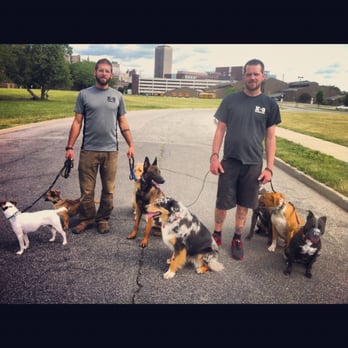 K9 Connection - Pet Training Near Me - Buffalo, New York K9 Connection - Pet Training Near Me - Buffalo, New York