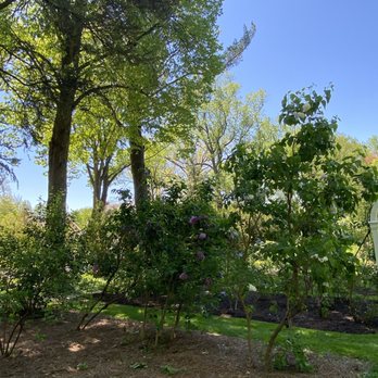 Arboretum at the Barnes Foundation - Botanical Gardens Near Me - Merion, Pennsylvania