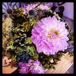 Botanicals On Barkly - jarposy, dahlia, hydrangea, seaholly in footscray
