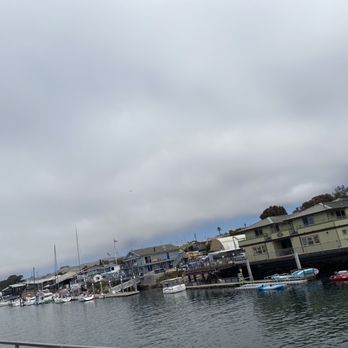 Chablis Cruises - a view of boats docked in a harbor - Boat Charters Near Me - Morro Bay, California