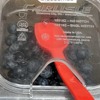 Yo Go Wild - Fresh Blueberries - Ice Cream & Frozen Yogurt Near Me - Deer Park, New York Yo Go Wild - Fresh Blueberries - Ice Cream & Frozen Yogurt Near Me - Deer Park, New York