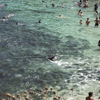 La Jolla Cove - Snorkeling and swimming with the seals - Parks Near Me - La Jolla, California