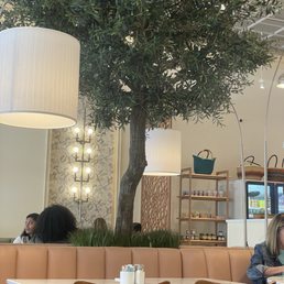 The image shows a large indoor tree with dense green leaves and a twisted trunk, situated behind a peach-colored booth in a restaurant or cafe. The setting includes large white lampshades, decorative wall lighting, and wooden shelving with baskets and jars. Several people are seated at tables, and the environment appears bright and modern with a cozy atmosphere.