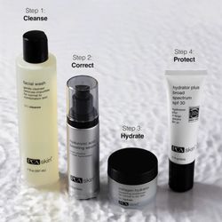 Elle Day Spa - PCA Skincare