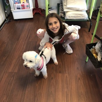 Happy Dog Spa - My Maddie girl! - Pet Groomers Near Me - Alameda, California Happy Dog Spa - My Maddie girl! - Pet Groomers Near Me - Alameda, California