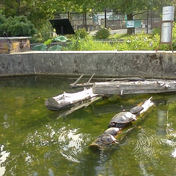 Cold Spring Harbor Fish Hatchery - Aquariums Near Me - Cold Spring Harbor, New York Cold Spring Harbor Fish Hatchery - Aquariums Near Me - Cold Spring Harbor, New York