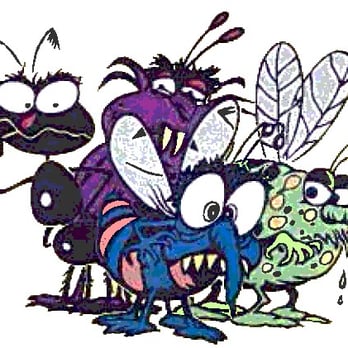 E & G Exterminators - Pest Control Near Me - South Amboy, New Jersey E & G Exterminators - Pest Control Near Me - South Amboy, New Jersey